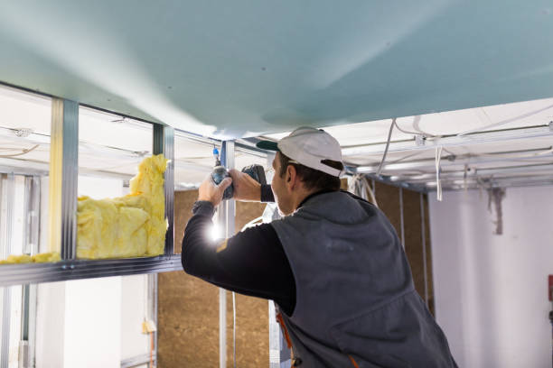 Best Insulation Air Sealing  in Trainer, PA