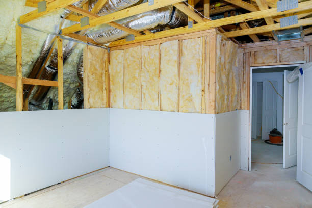 Best Eco-Friendly or Green Insulation Solutions  in Trainer, PA